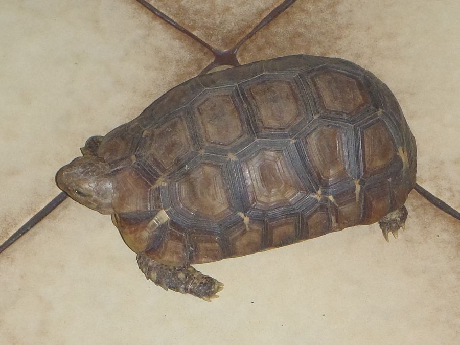 P1280726